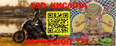 гашик Дубна
