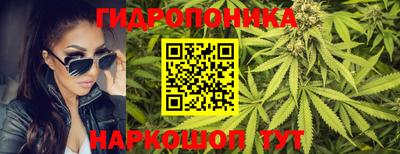прущие крисы Донецк