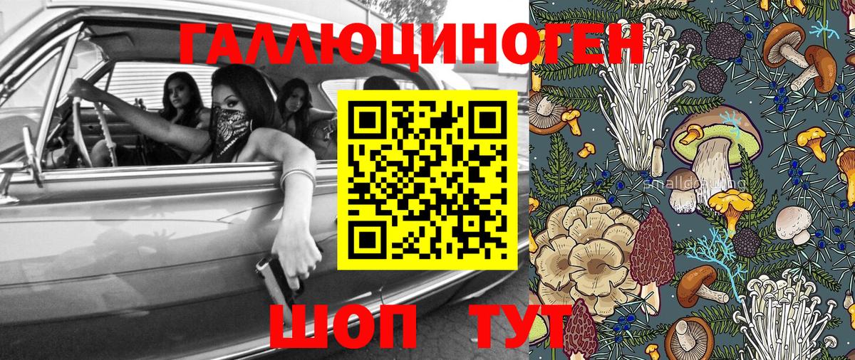 Галлюциногенные грибы Cubensis Сергиев Посад